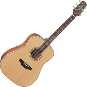 takamine gd 20 ns