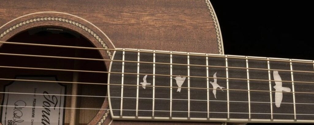 Présentation du préampli dans la rosace de la guitare PRS SE P20e
