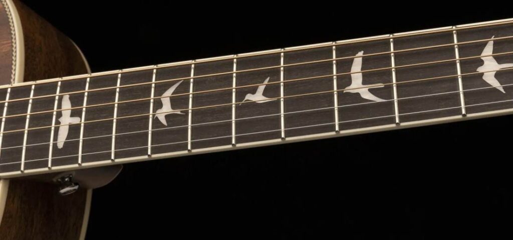 Présentation en détail du manche de la guitare électro-acoustique PRS SE P20e