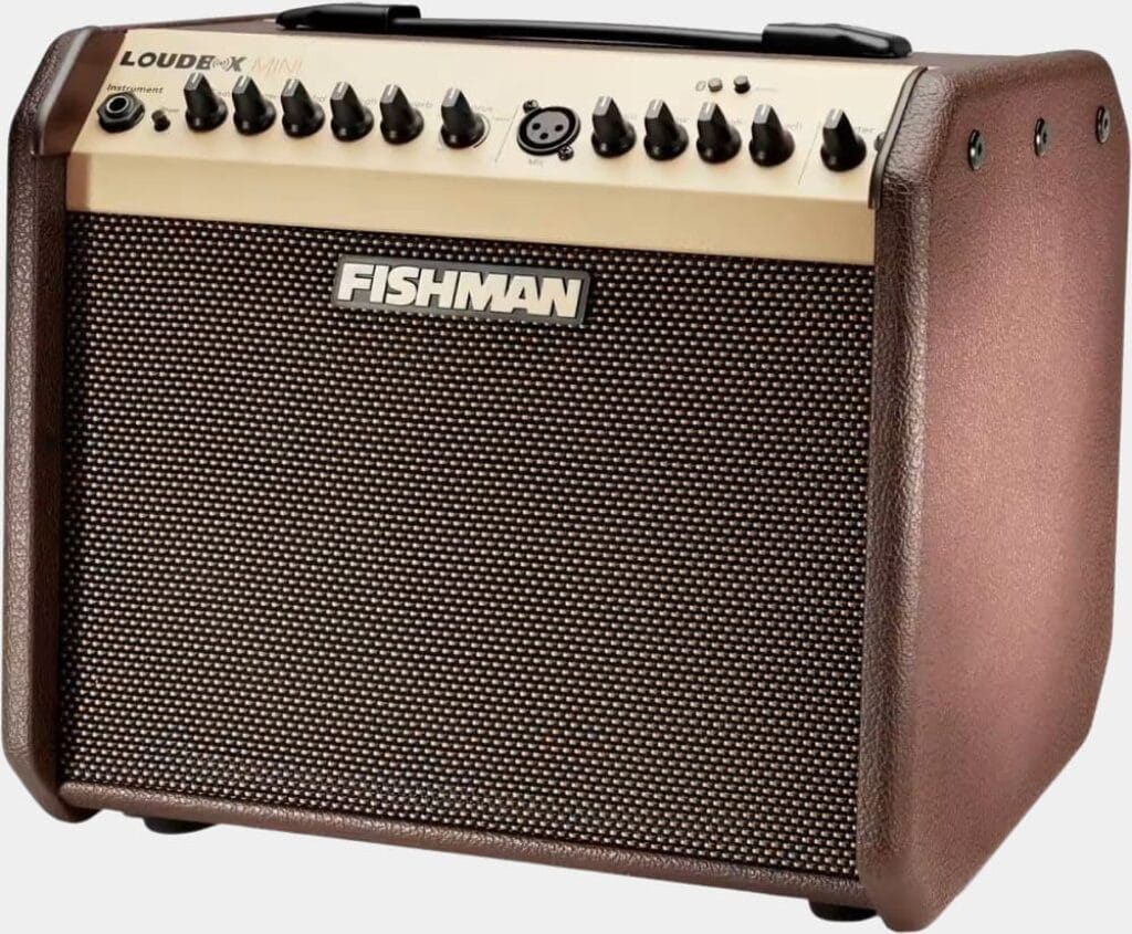 Présentation principale de l'ampli acoustique Fishman Loudbox mini Bluetooth