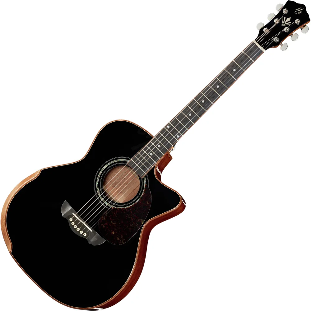 Présentation principale de la guitare électro-acoustique Harley Benton CLG-650SM-CE