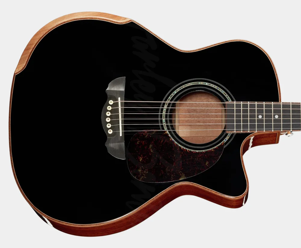Gros plan de la rosace de la guitare électro-acoustique Harley Benton CLG-650SM-CE