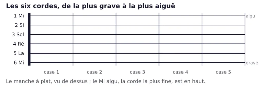 Schéma du manche d'une guitare à plat, vu de dessus, sur cinq cases. Les six cordes sont dessinées en lignes horizontales, numérotées et nommées à gauche : de haut en bas, 1 Mi, 2 Si, 3 Sol, 4 Ré, 5 La, 6 Mi. Le trait est de plus en plus épais vers le bas. La mention « aigu » figure à droite de la ligne du haut, « grave » à droite de celle du bas.